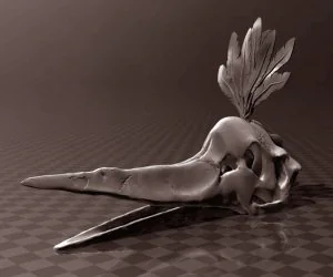 Pteranodon Skull 3D Models