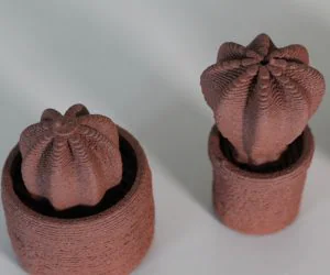 Clay Cactus Mix 3D Models