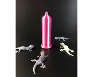 Condom 3D Models