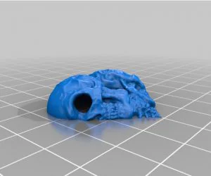Skull Heart Pendant Cut In Half 3D Models