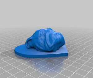 English Bulldog Heart 3D Models