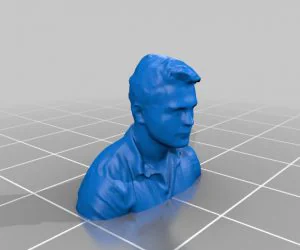 Bust Of Myself 3D Models