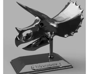 Triceratops Skull 3D Models
