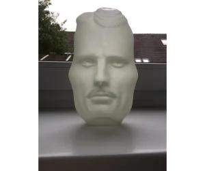 The Vase Face Tesla Einstein Hollow Face Illusion 3D Models