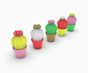 Barrel Cactus Multipiece Miniature 3D Models