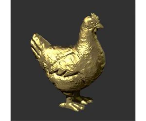 Chicken 3D Models