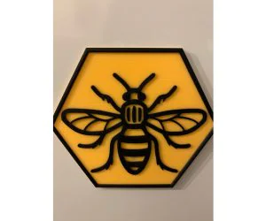 Manchester Bee In Hexagon 3D Models