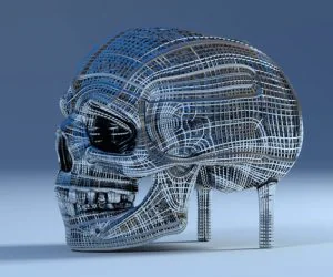Skull High Poly 3D Models