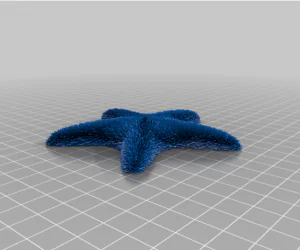Textured Starfish 3D Models