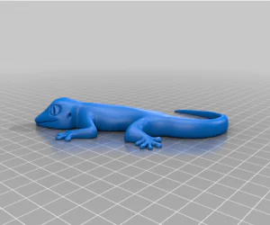 Lizard 3D Models