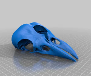 Twincrowskull 3D Models