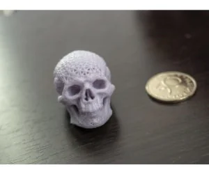 Meshed Skull 3D Models