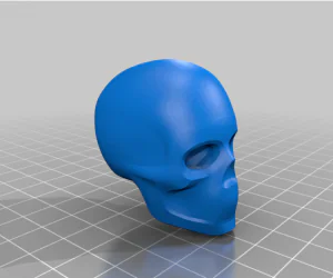 Skull Armature 3D Models