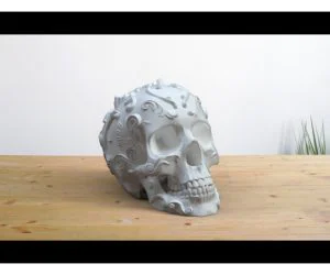 Ornament Skull 2 3D Models