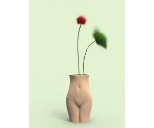 Female Vase 3D Models