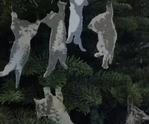 Hang In There Kitty Ornaments 3D Models