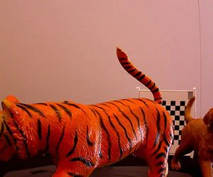 Tiger Tiger 3D Models