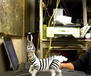 Madagascar Zebra 3D Models