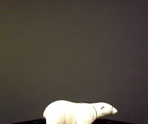 Polar Bear 3D Models