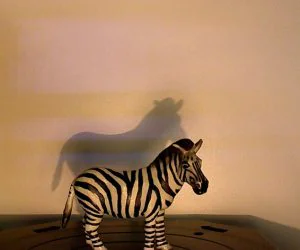 Zebra Toy 3D Models