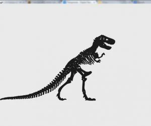 Tyrannosaurus Rex Skeleton 3D Models