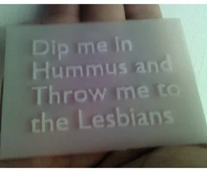 Dip Me In Hummus And Throw Me To The Lesbians 3D Models