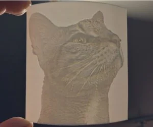 Savannah Cat Lithophane 3D Models