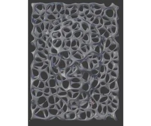 Voronoi Face On Wall 3D Models
