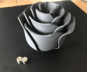 Super Rose With Magnetic Stem 3D Models