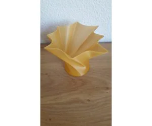 Star Vase 3D Models