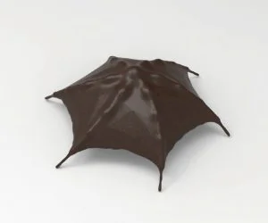 Winglike Umbrella 3D Models
