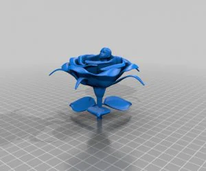 Precious Baby Flower 3D Models