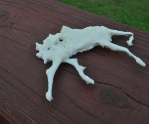 Roadkill Deer 3D Models