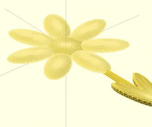 Parametric Flower V2 Autorandom Openscad 3D Models