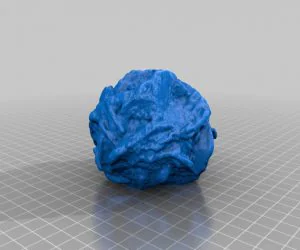 Gypsum Rosette 3D Models