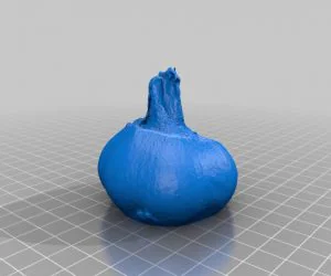 Garlic 3D Models