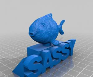 Sassy Fish 3D Models