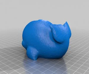 Whale 3D Models