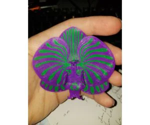 Remixed Orchid 3D Models