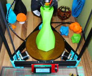 Twisted Heptagon Vase 3D Models