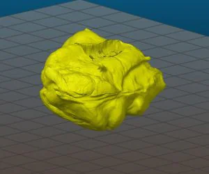 Blob Of Frustration 3D Models
