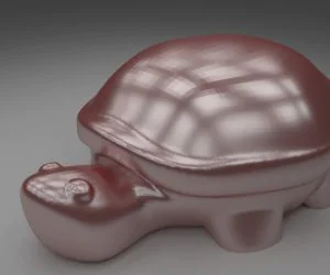 Turtles 3D Models