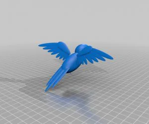 Hummingbird 3D Models