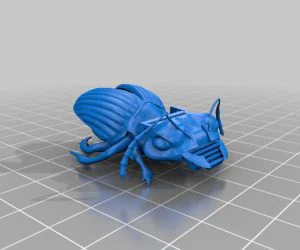 Typewriter Beetle 3D Models