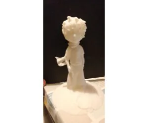 Petit Prince Découpé 3D Models
