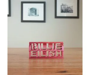 Billie Eilish 3D Flip Ornament 3D Models