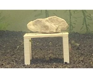 Rock Stand For Aquarium 3D Models