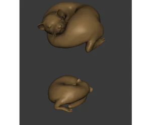 Curled Up Ferret 3D Models