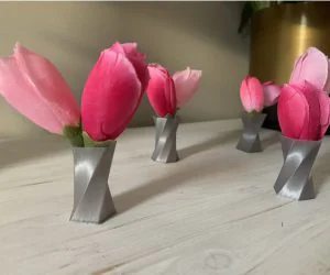 Twisted Mini Vase 3D Models