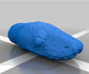 Ball Python Head File Fixed 3D Models